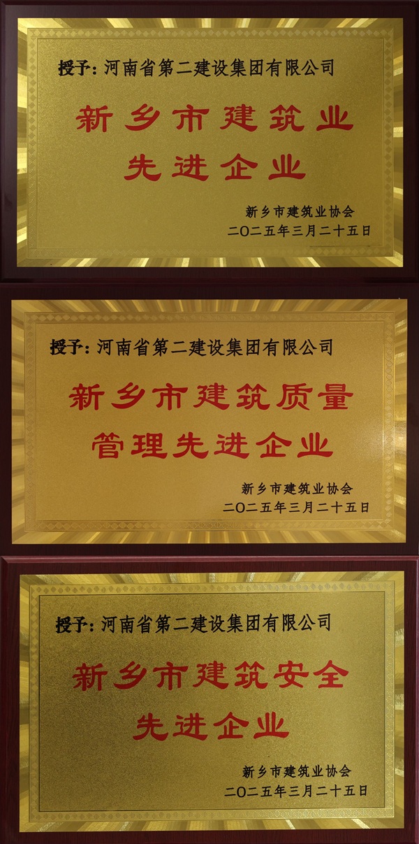 星空体育(StarSky Sports)官方网站奖牌拼图.jpg